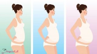 مراحل الحمل بالصور شاهدي مراحل نمو الجنين بالاشهر