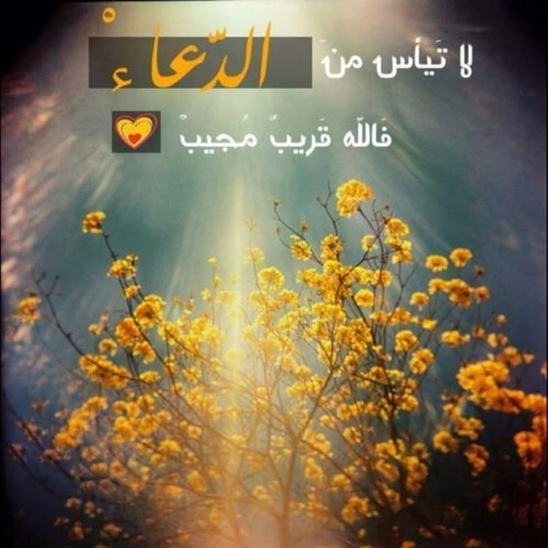 صور حكم وأقوال مأثورة ومتميزة تعلم من الحياة 6 %d8%b5%d9%88%d8%b1-%d8%ad%d9%83%d9%85-6-2
