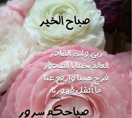صور صباح الخير 2019 اجمل الصور الرومانسية 11 صور صباح الخير