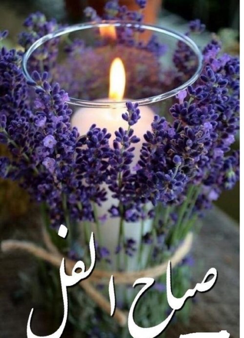 صور صباح الخير 2019 اجمل الصور الرومانسية 13 صور صباح الفل
