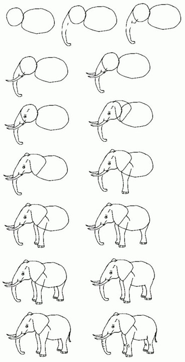 طريقة رسم فيل
