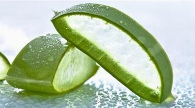 فوائد الصبار للجنس والجماع والبشرة وغيرها