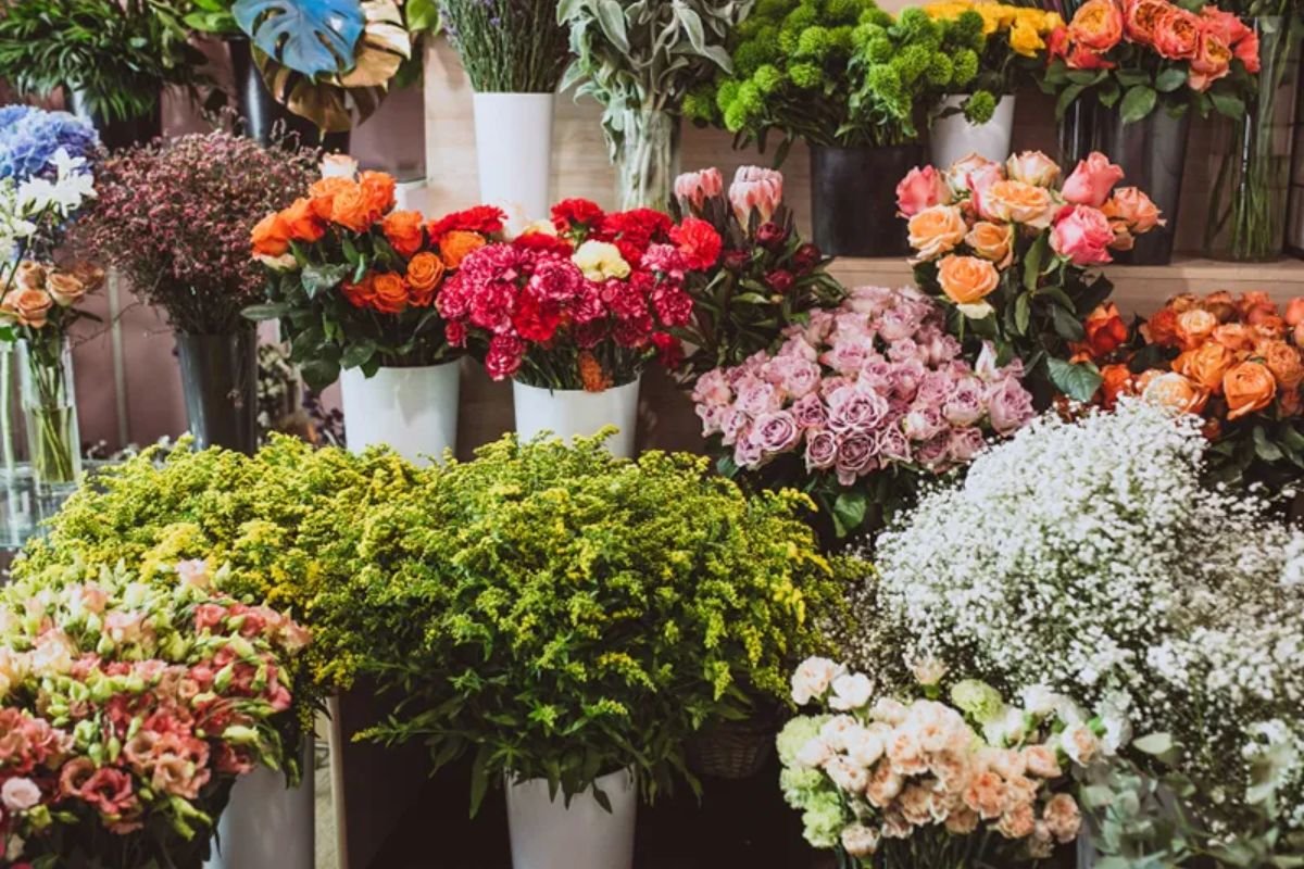 انواع الورود واسمائها تعرف على أشهر 3 انواع - مجلة انا حواء