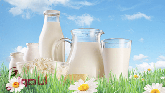 فوائد الحليب للعظام والبشرة ومع التمر والمزيد